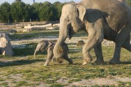 Izmir Wild Life Park