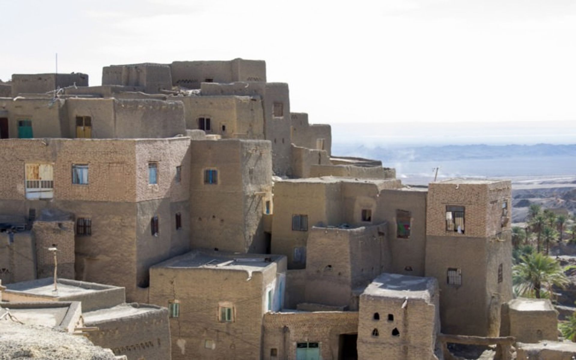 سجاد نجفی