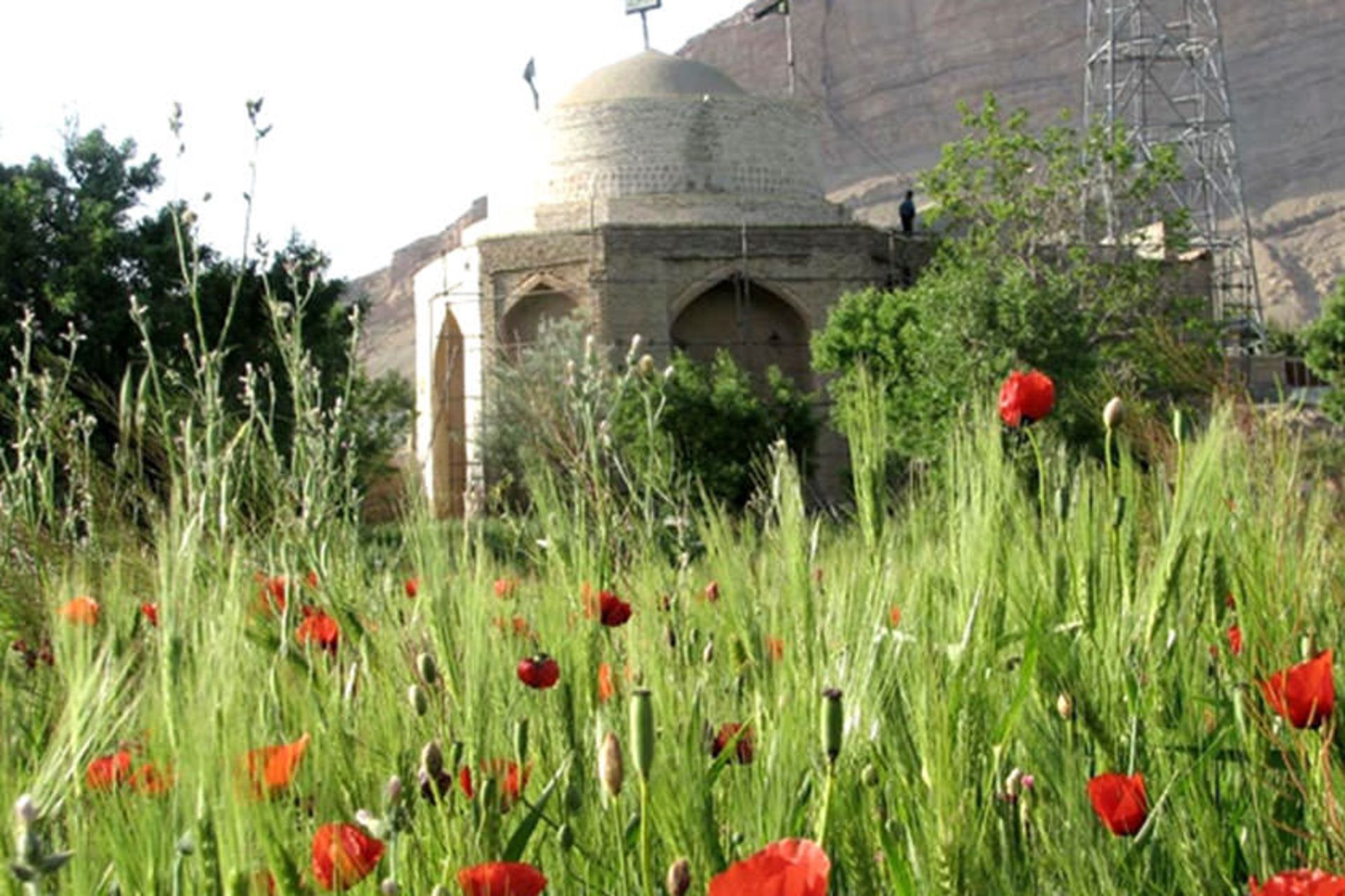  امامزاده یحیی (ع)