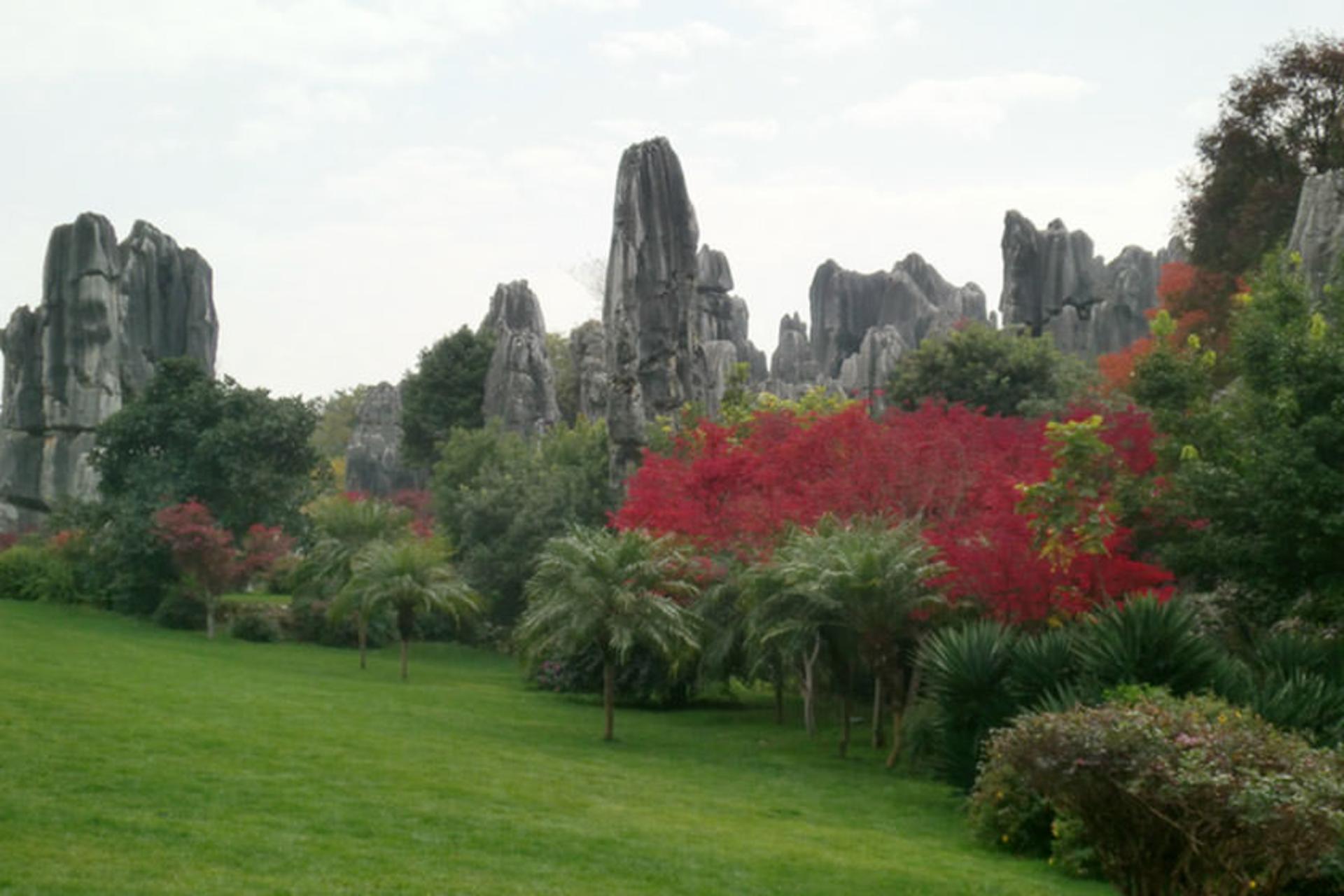 Yunnan Stone Forest