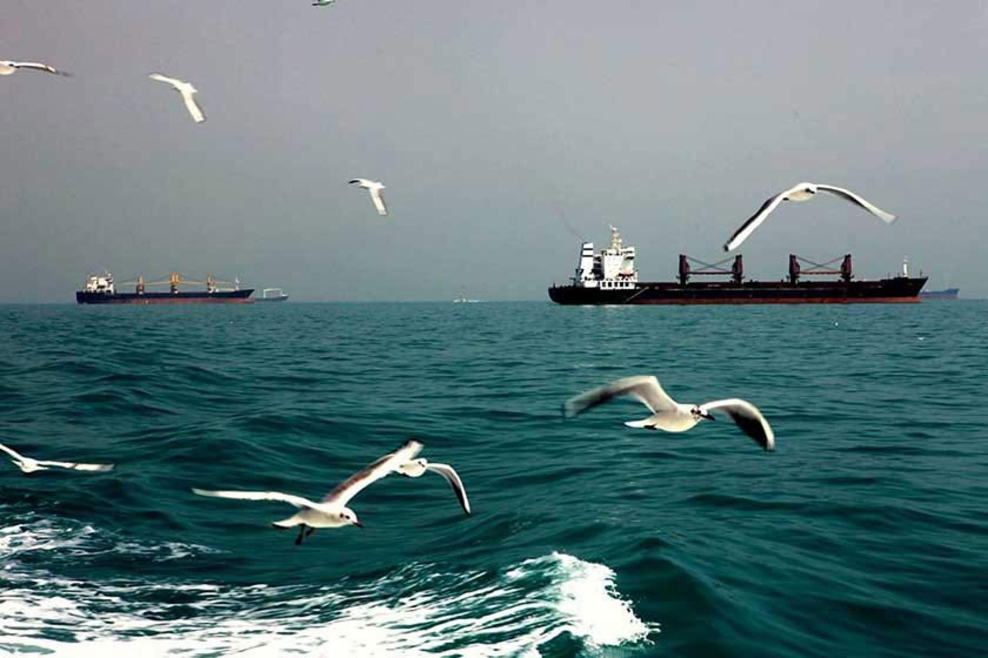 جزیره هرمز