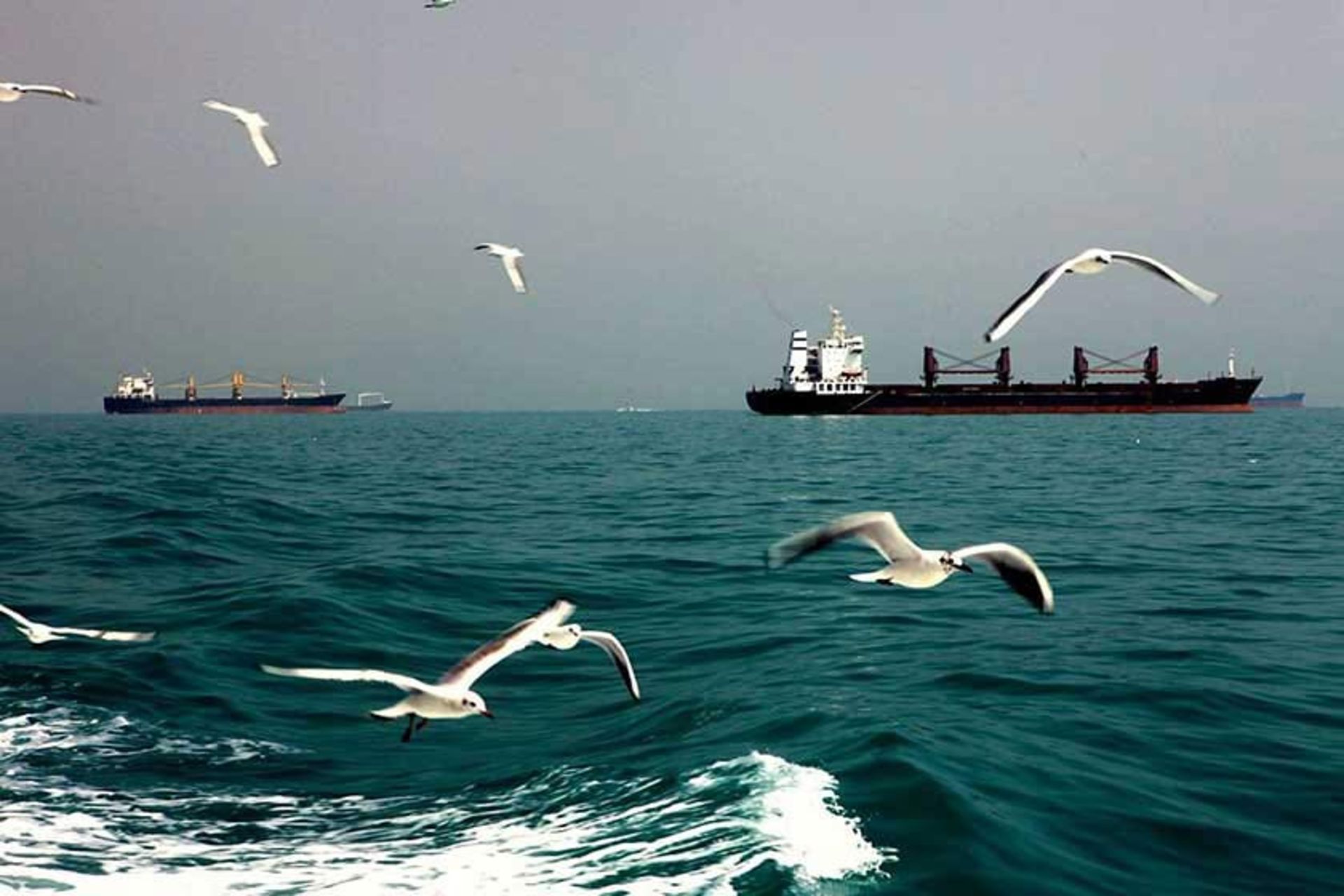 جزیره هرمز