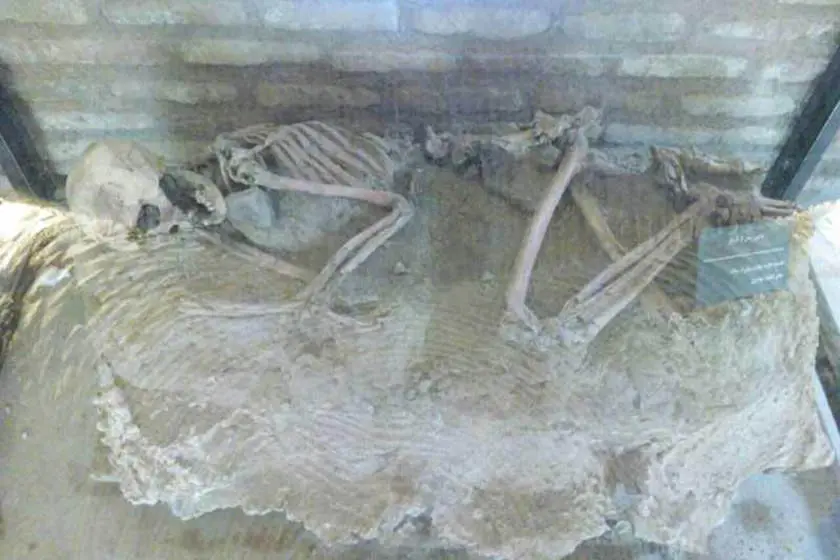 نمایش اسکلت در موزه نیشابور