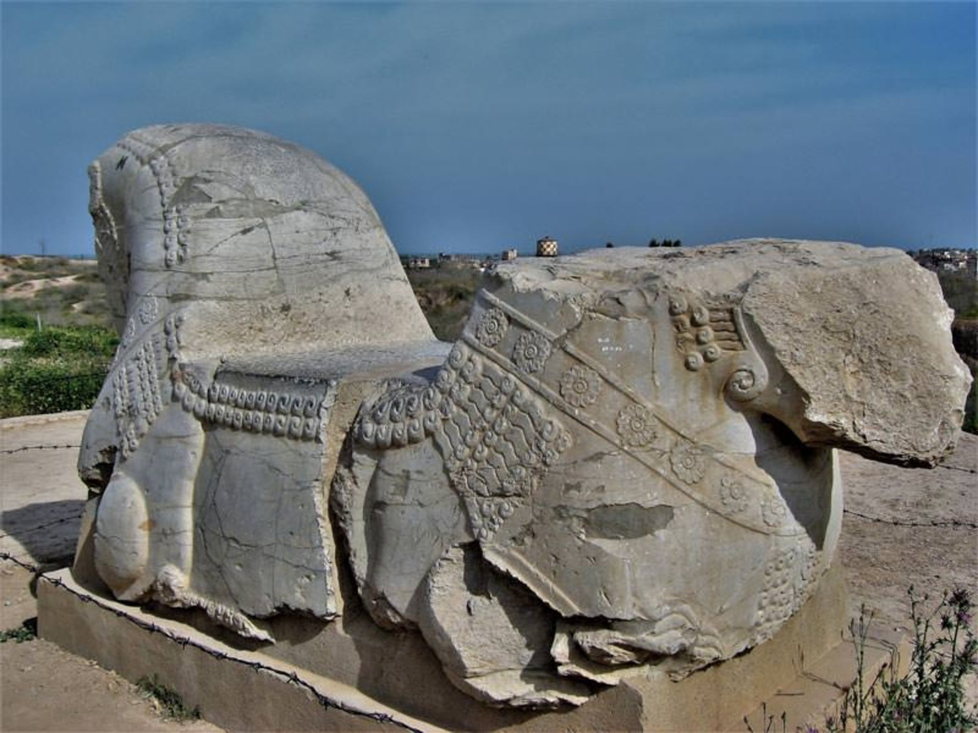 هزینه سفر به شوش