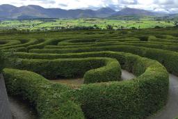 Castlewellan Forest Park