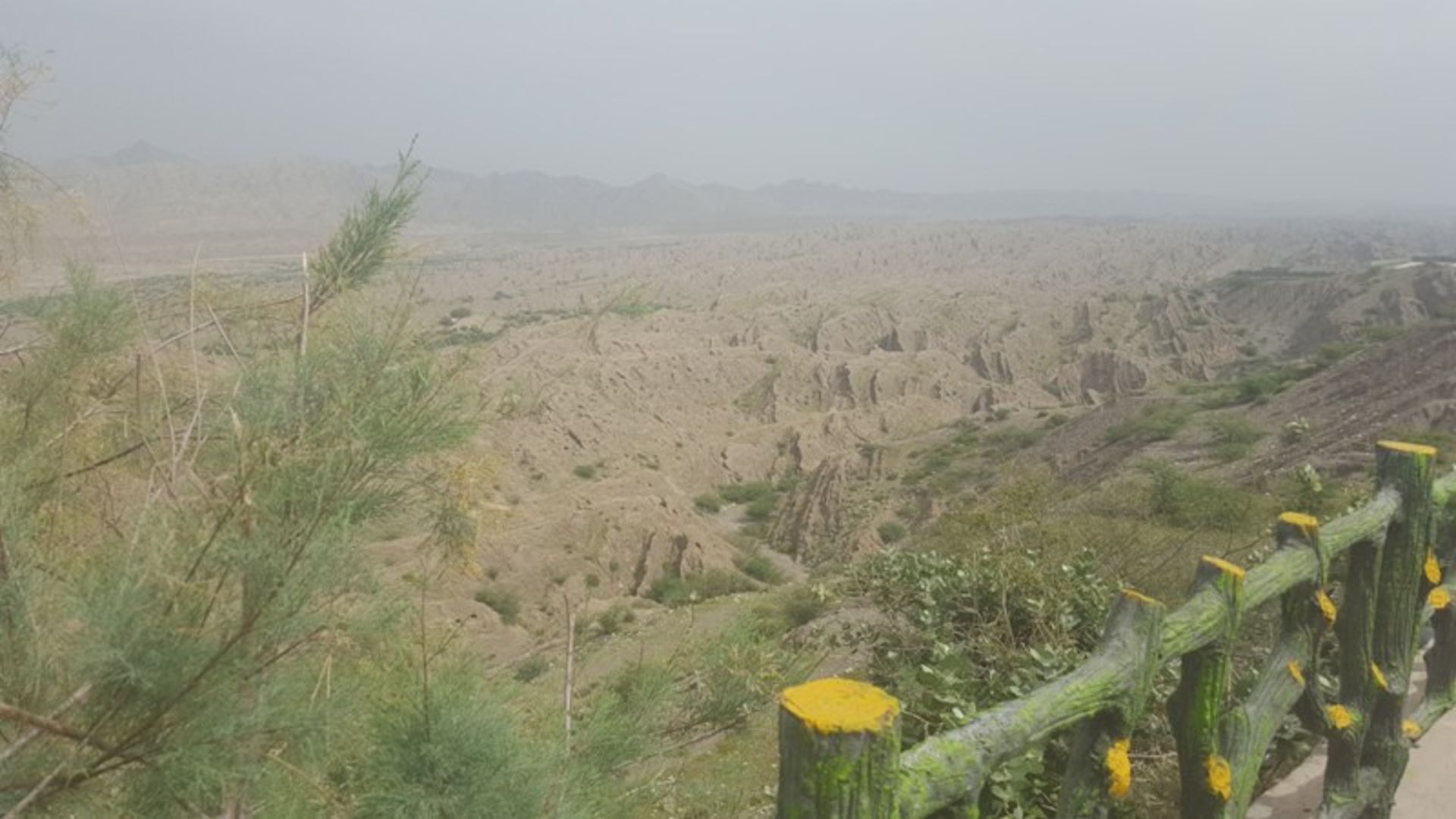 میناب