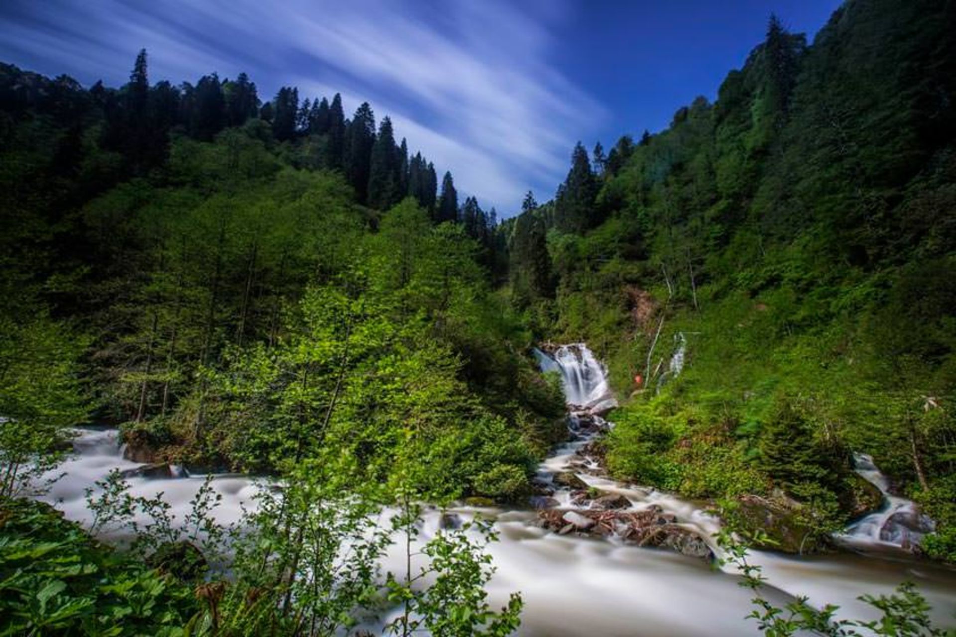 پارک ملی کوهستان کاچکار