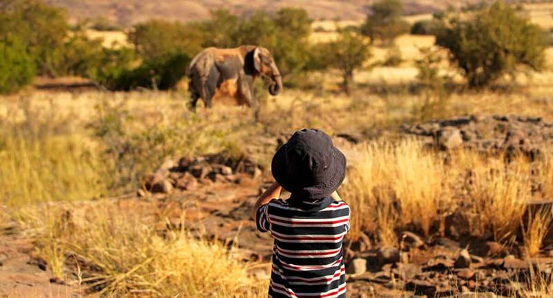 نکات کلیدی برای لذت بردن از یک سافاری خانوادگی