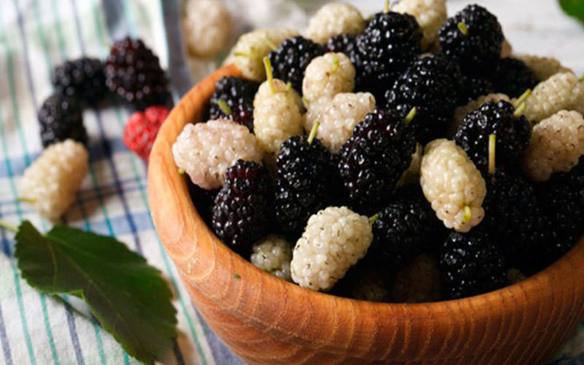 جشنواره های ارمنستان