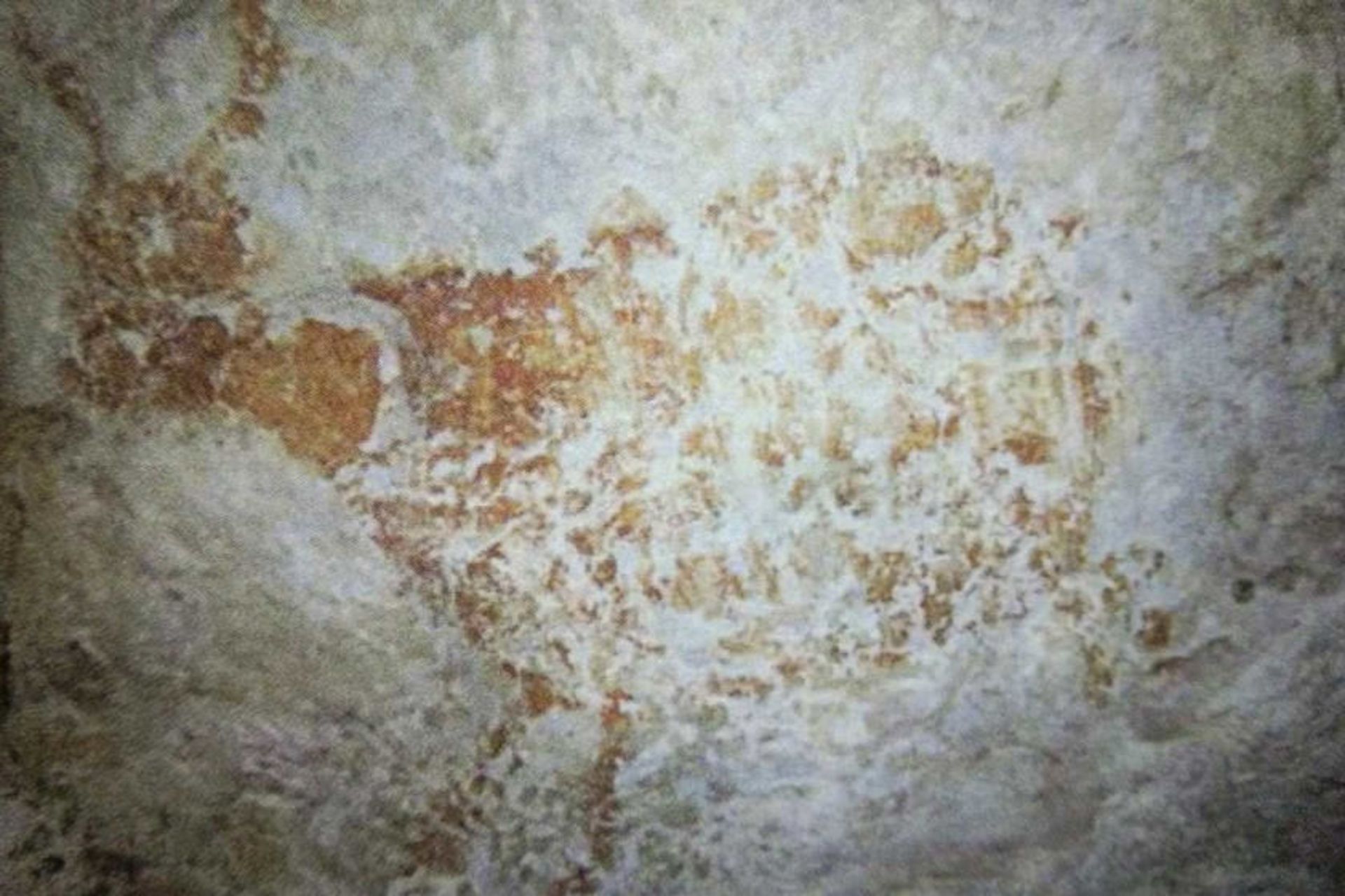 نقاشی ۴۰ هزار ساله در غار