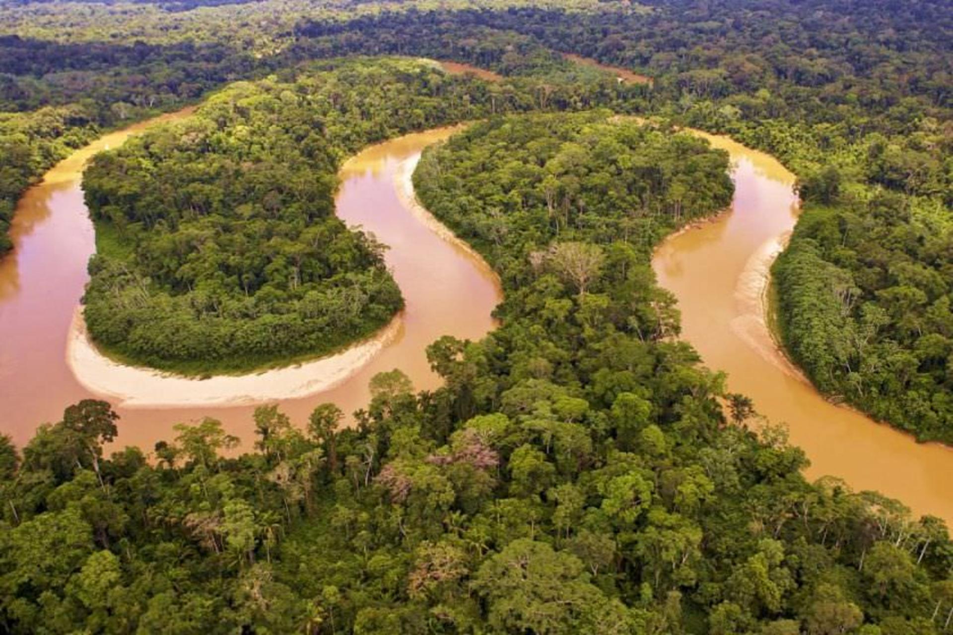 Amazon River