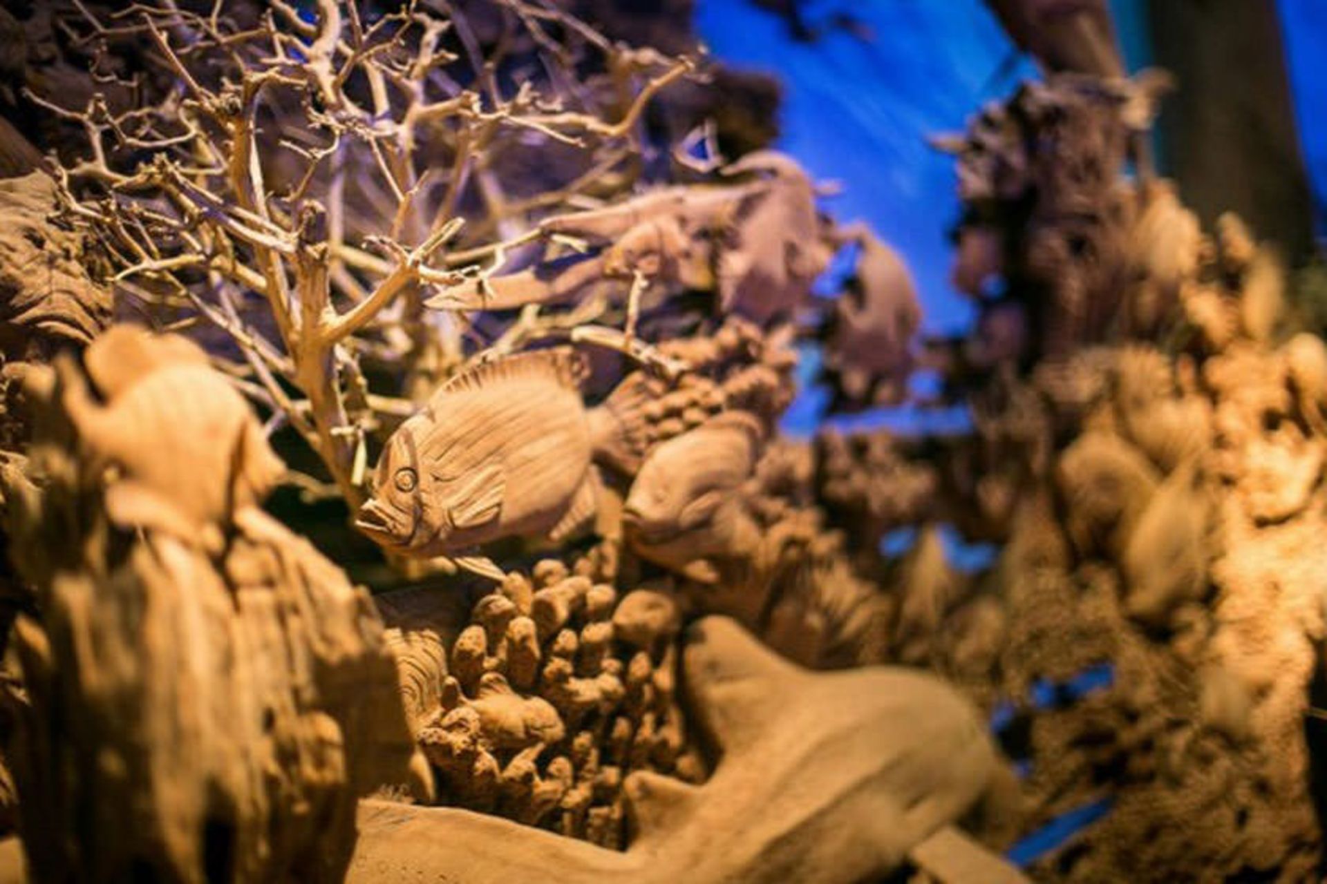 سرزمین چوبی موانگ مای