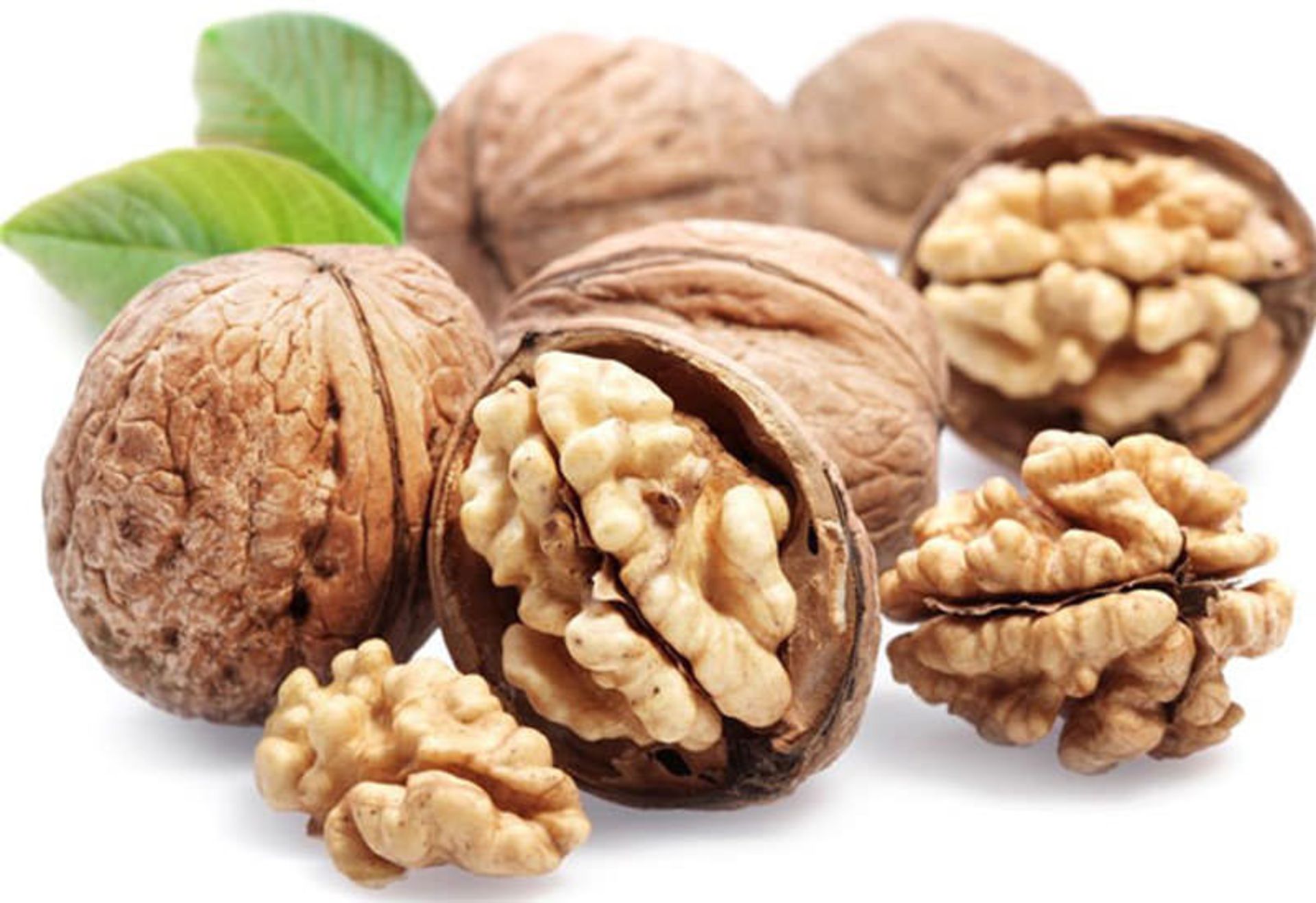 گردو یاسوج