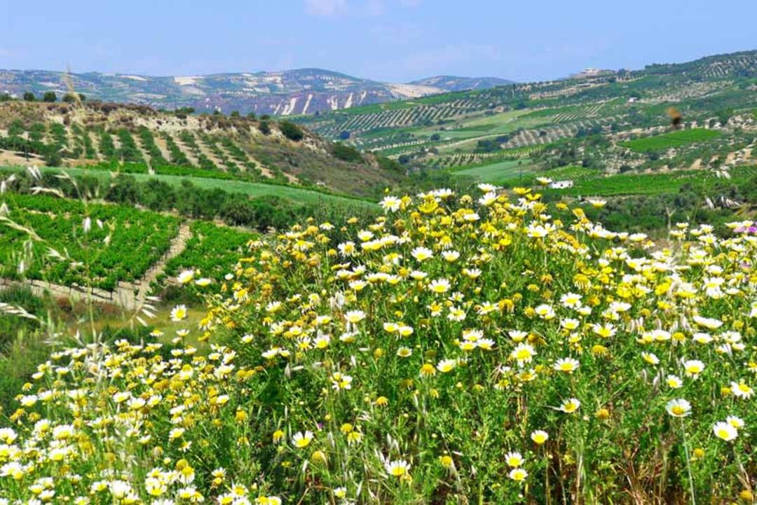 زمان سفر هراکلیون