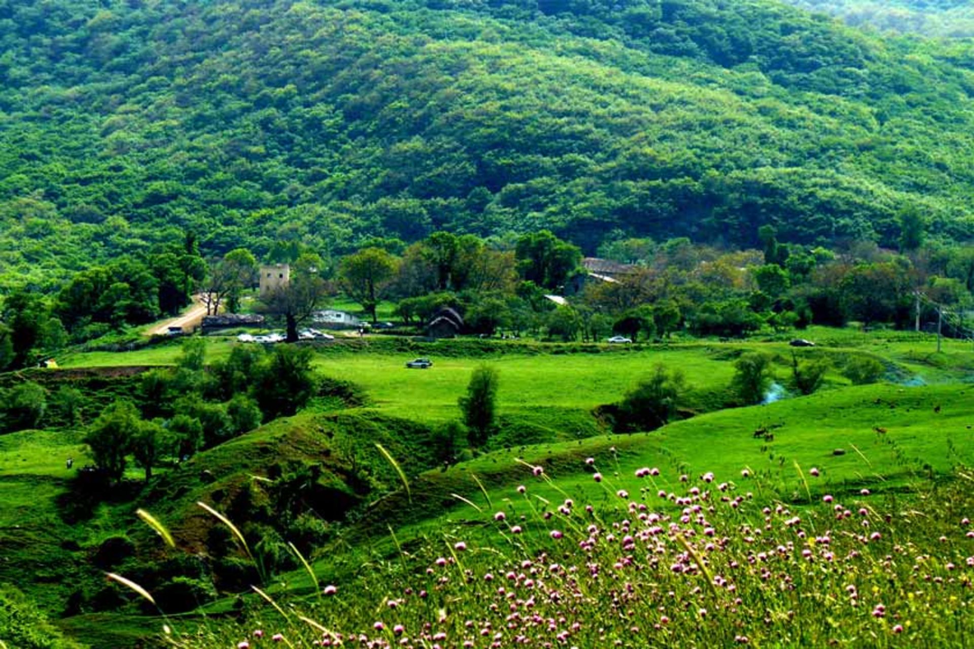 گرمی