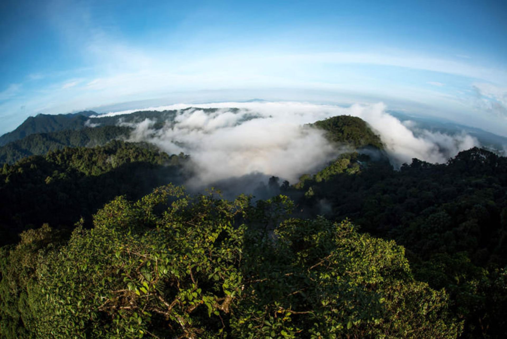 Chocó