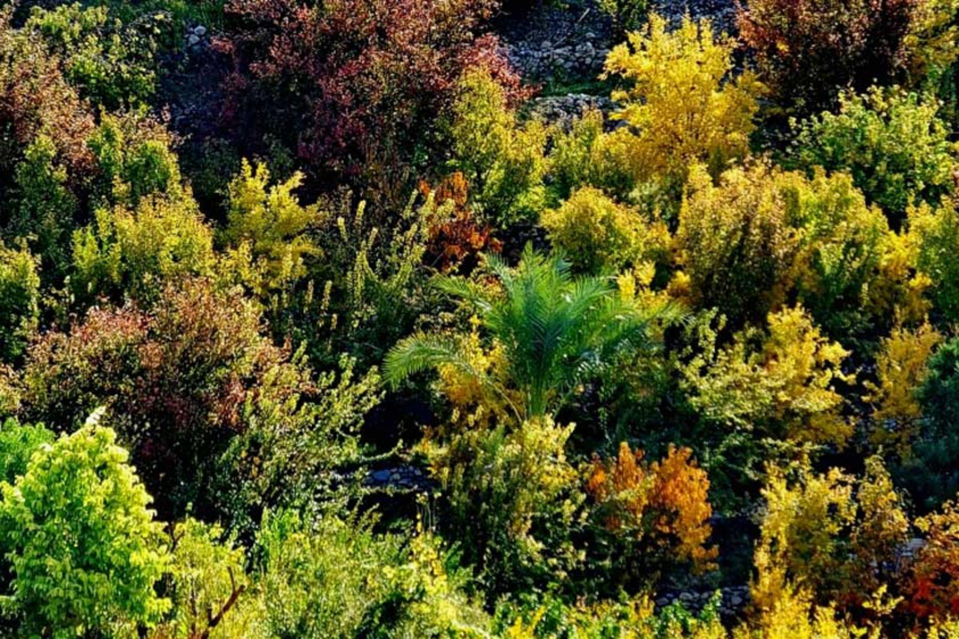 روستای مارین