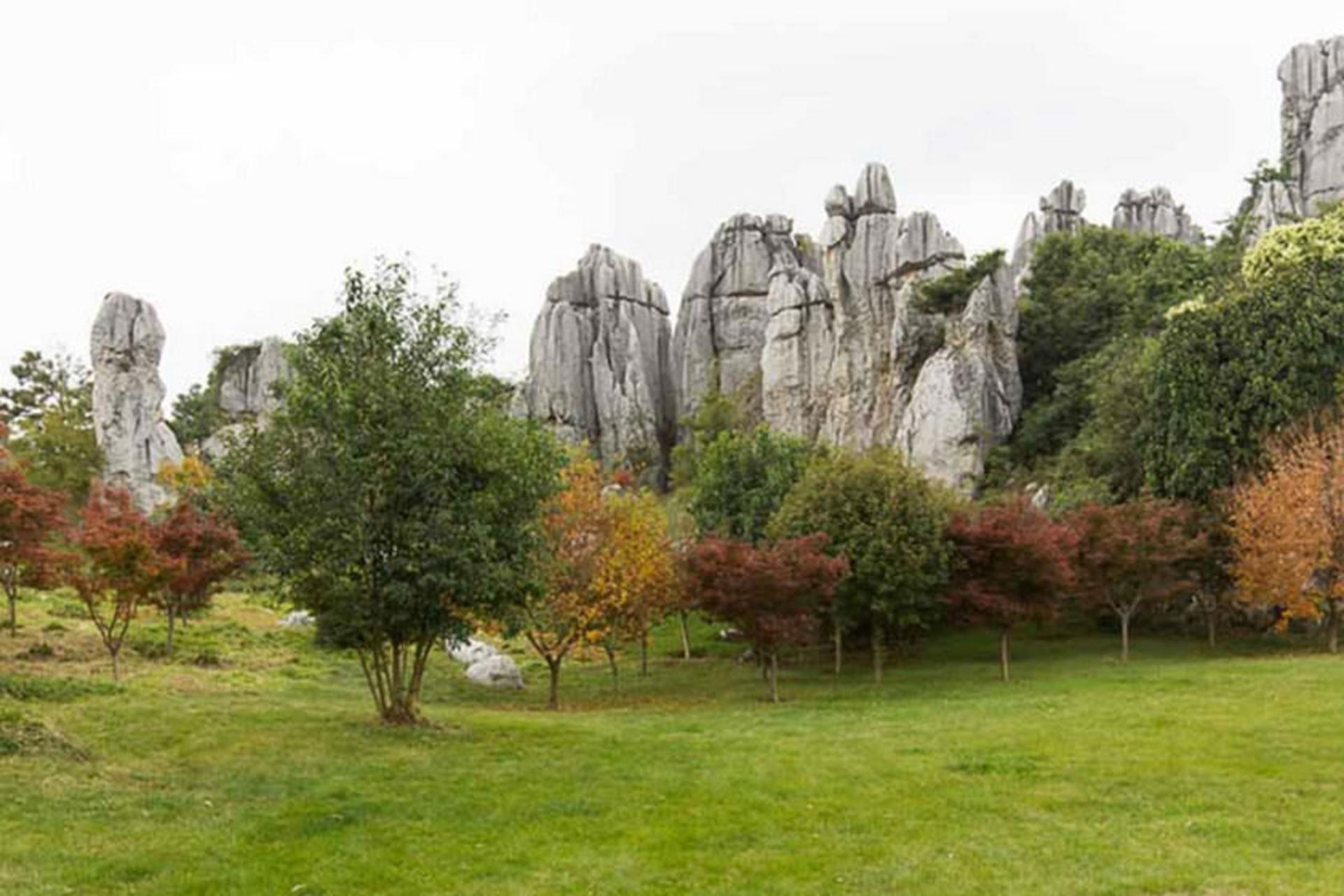 Yunnan Stone Forest