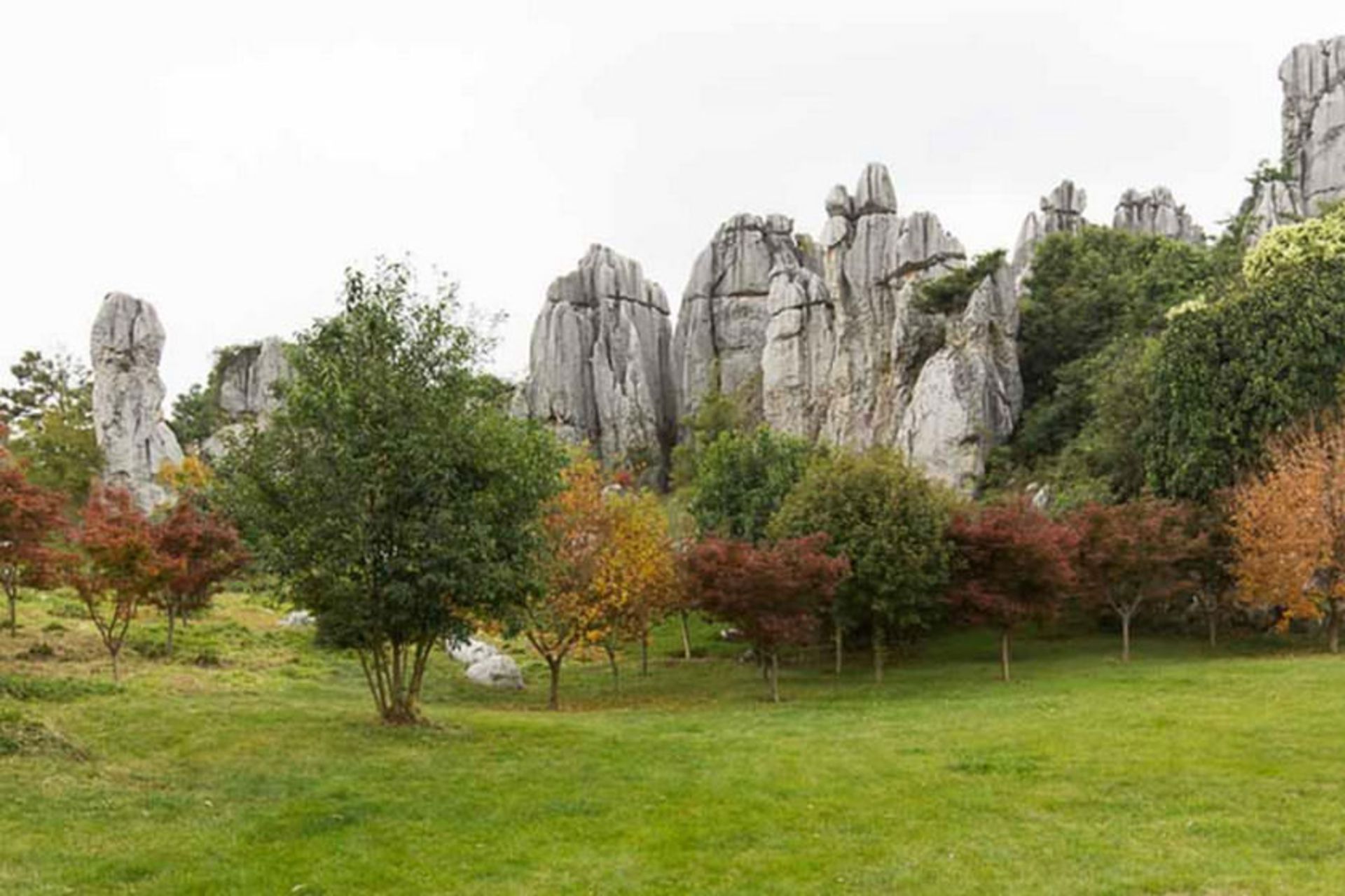 Yunnan Stone Forest