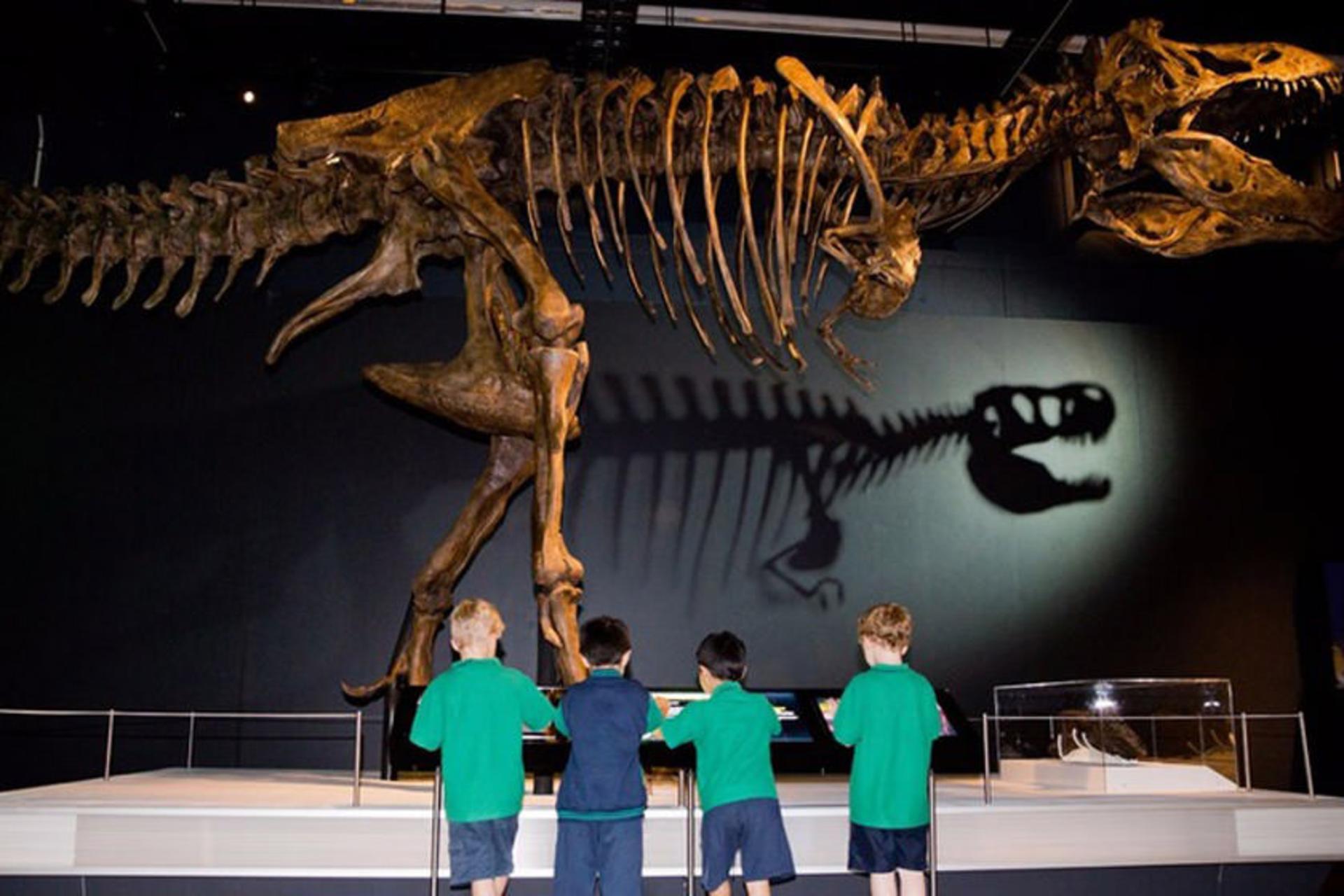 موزه استرالیایی