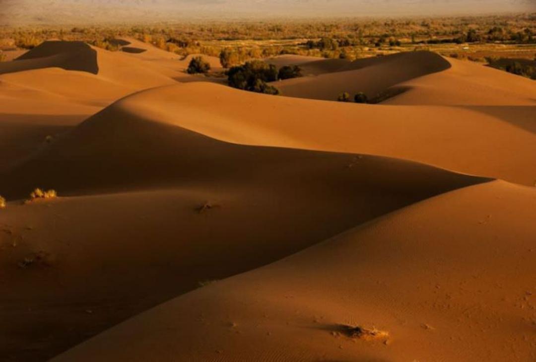 مصر