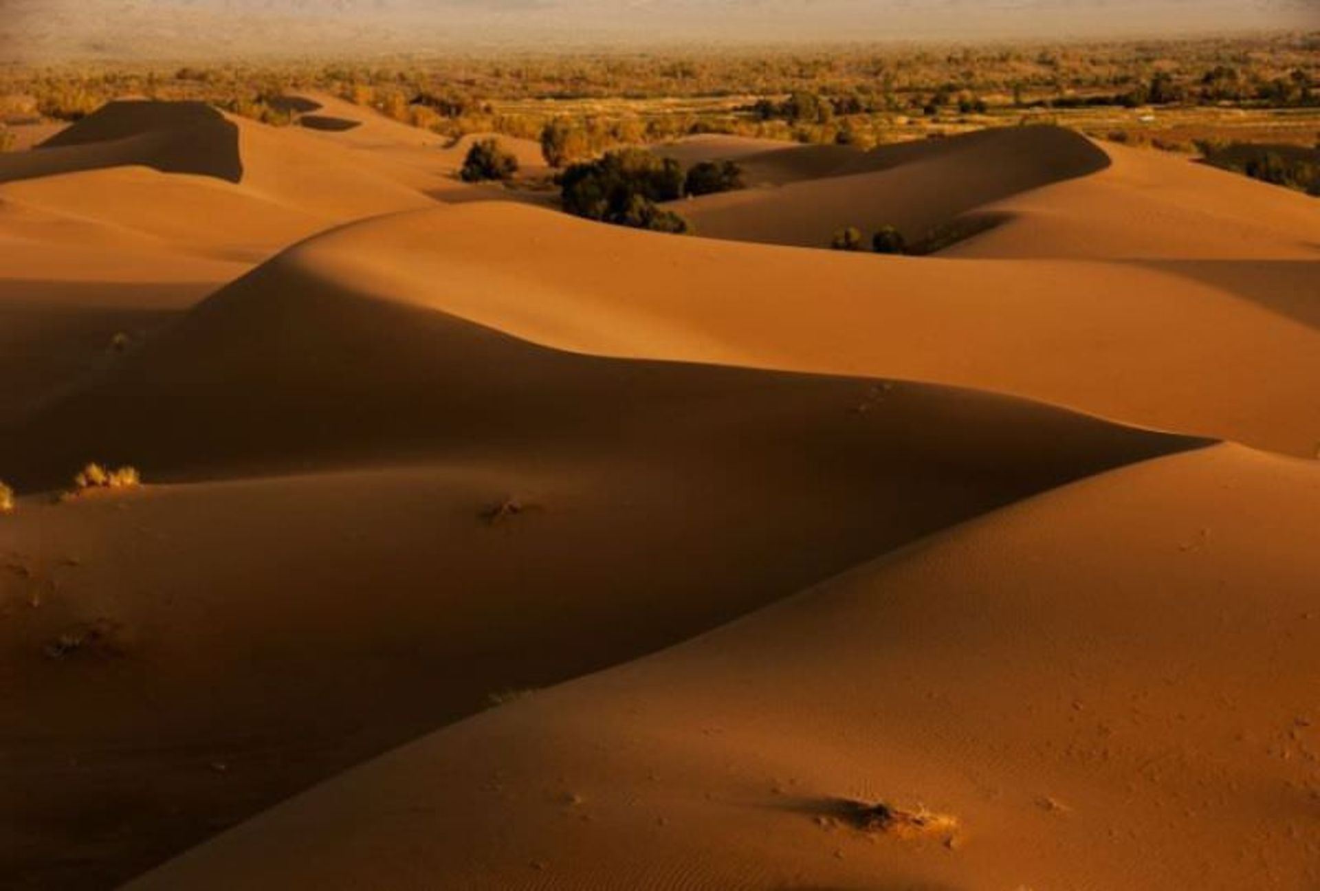 مصر