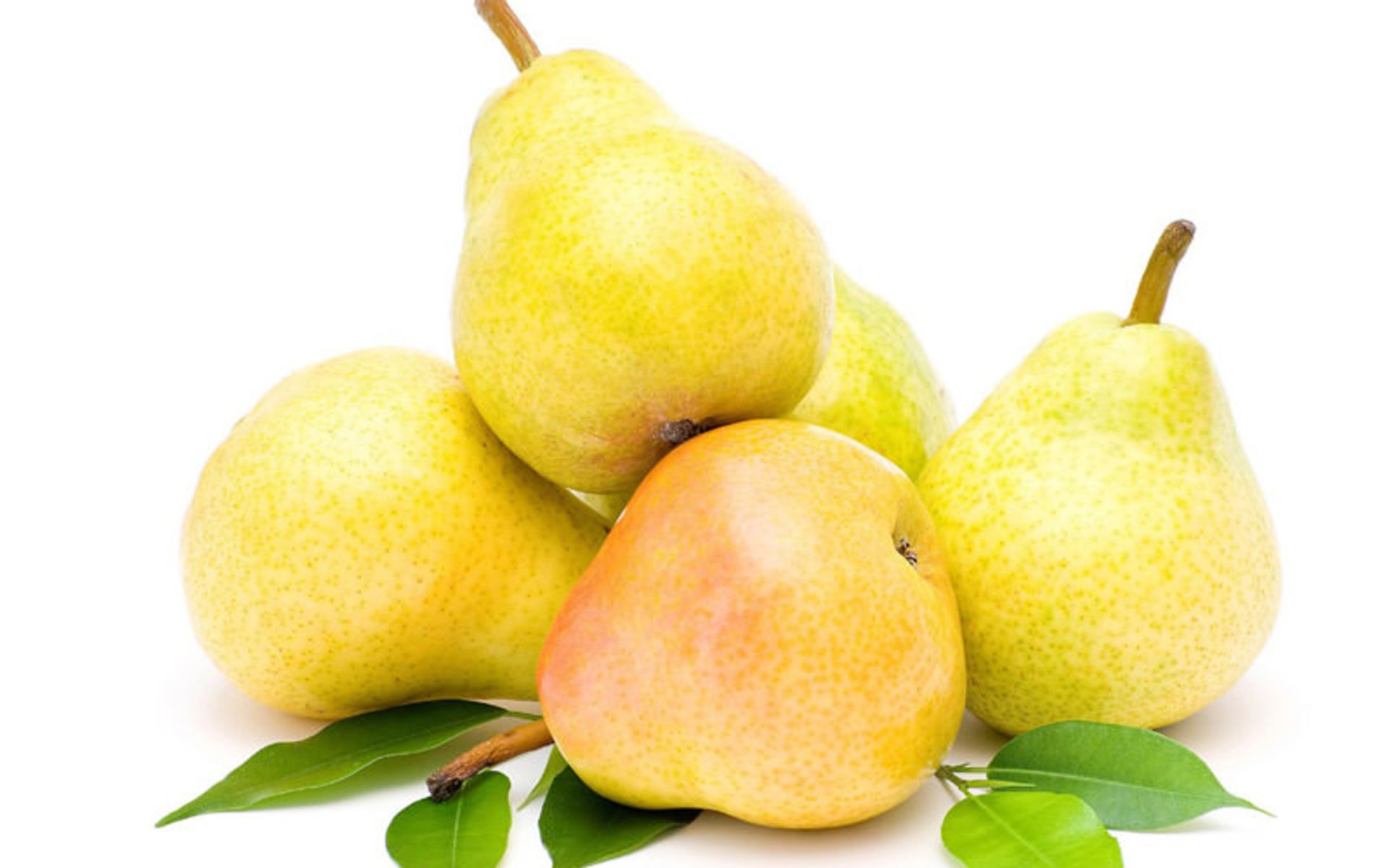 گلابی نطنز