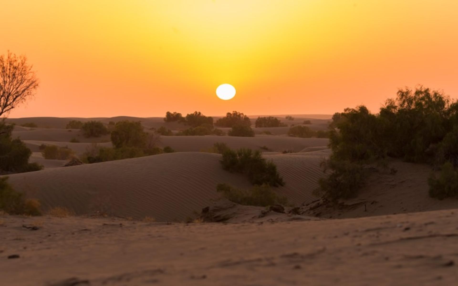 غروب کویر مصر