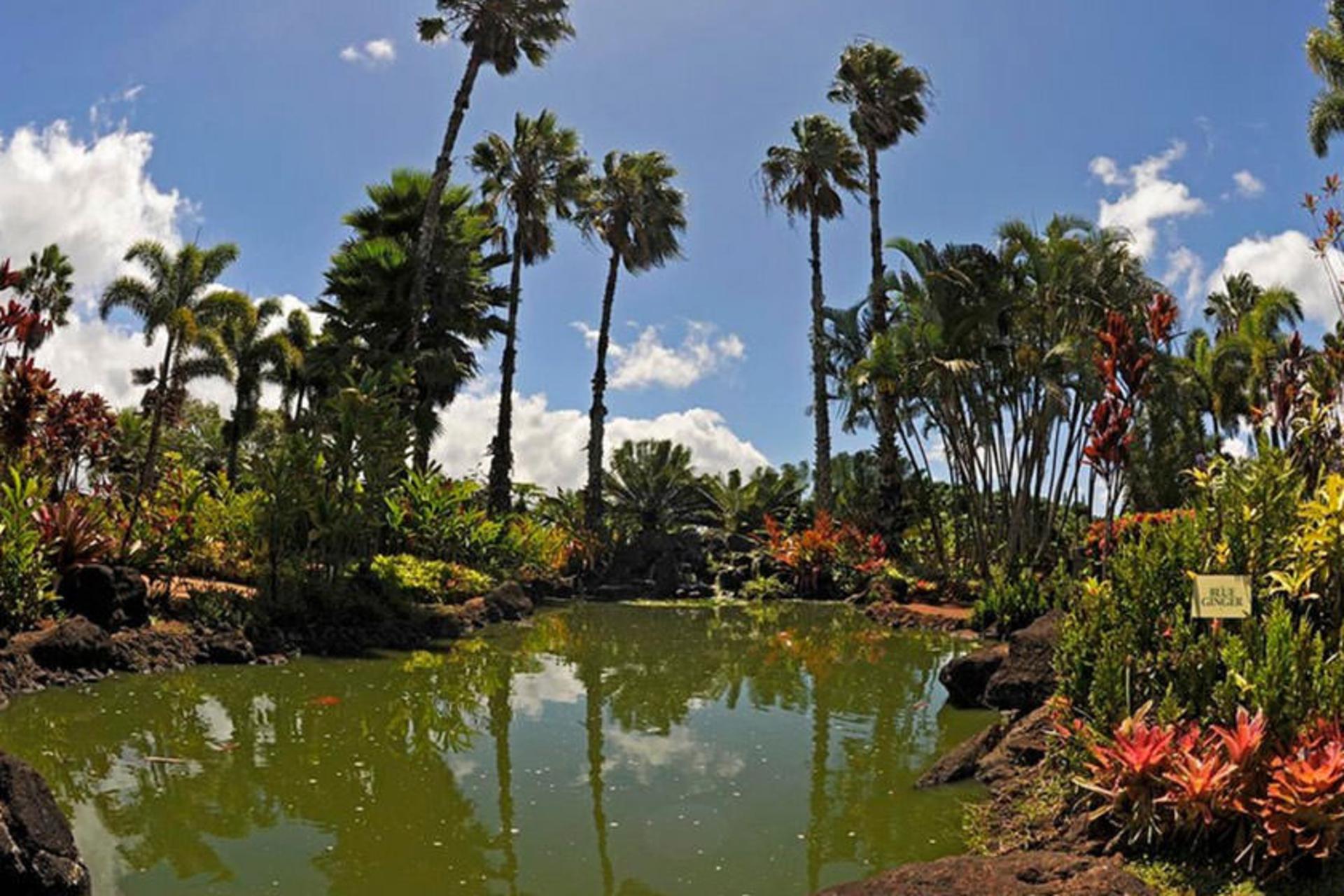 Dole Plantation