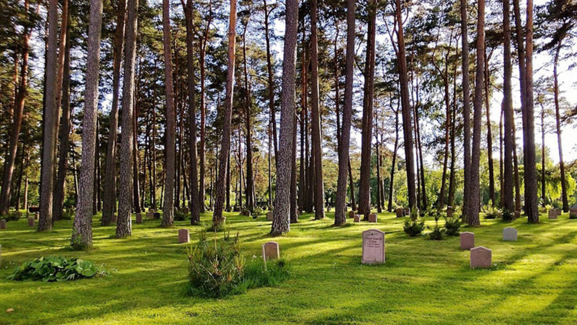 قبرستان های عجیب