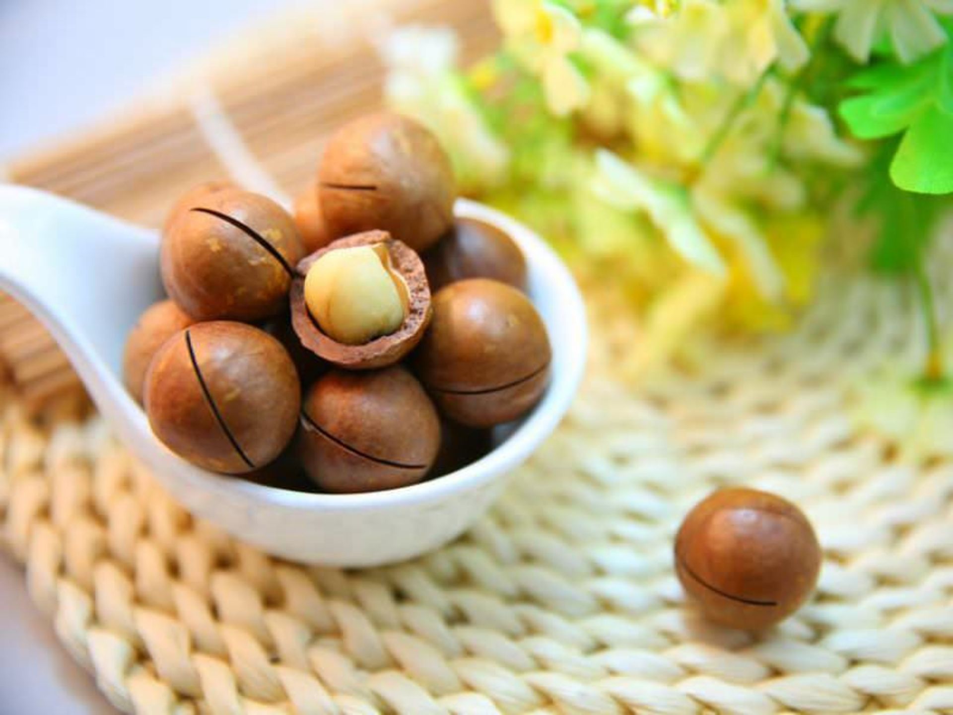 سوغات گلدکست