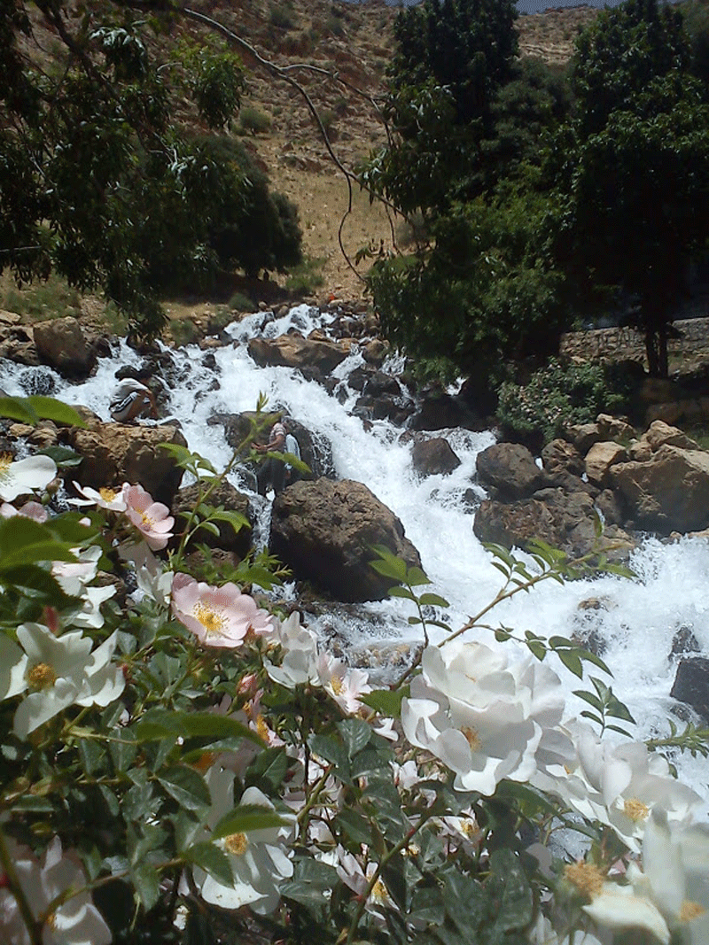 سرداب رستم اباد
