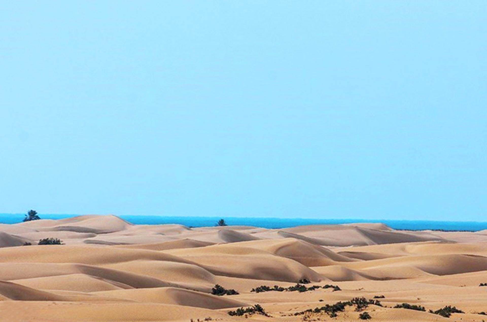 ساحل درک