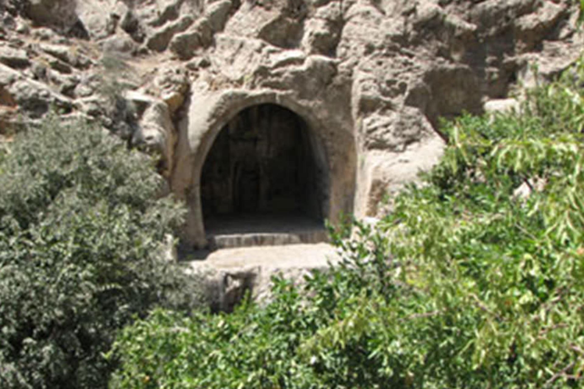 زیستگاه بک بک