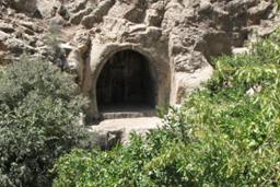 زیستگاه بک بک