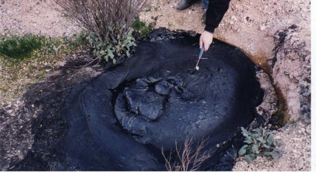 دریای مرده