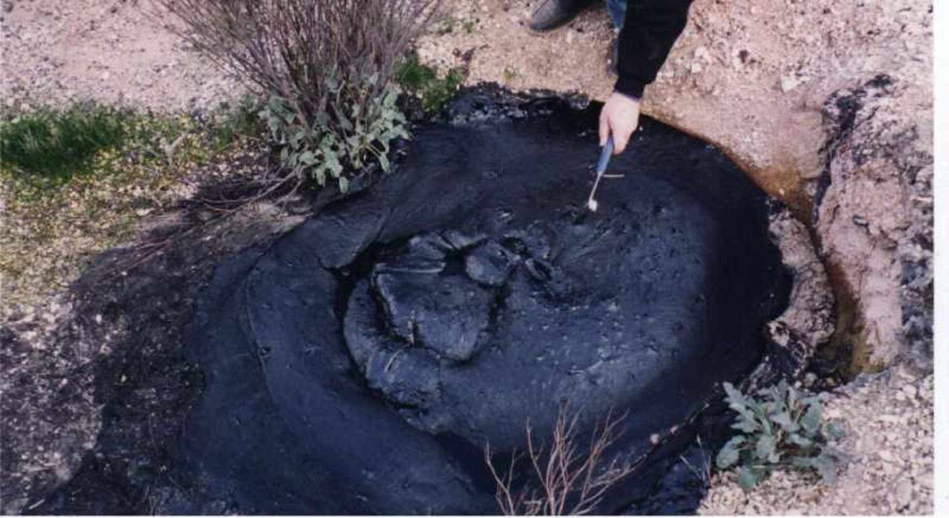 دریای مرده