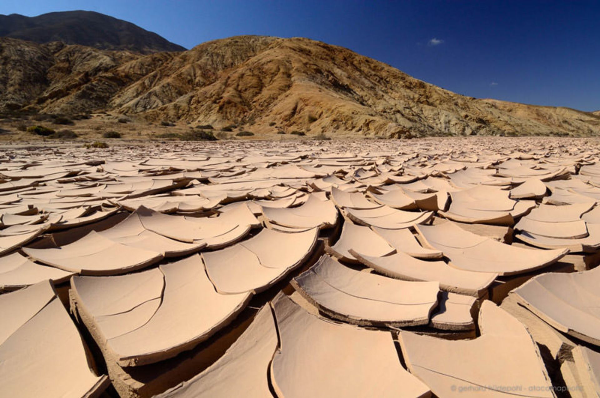 Atacama 
