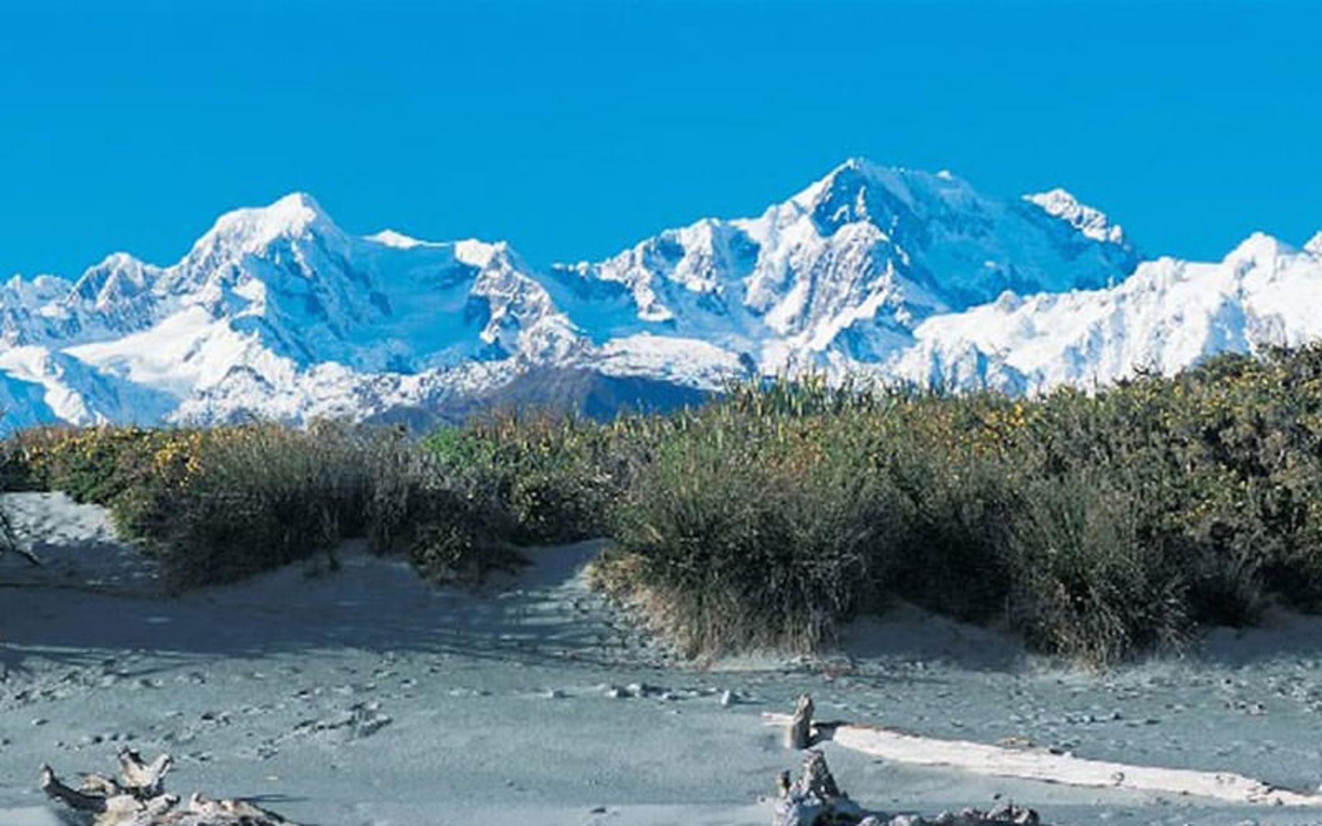 نیوزلند