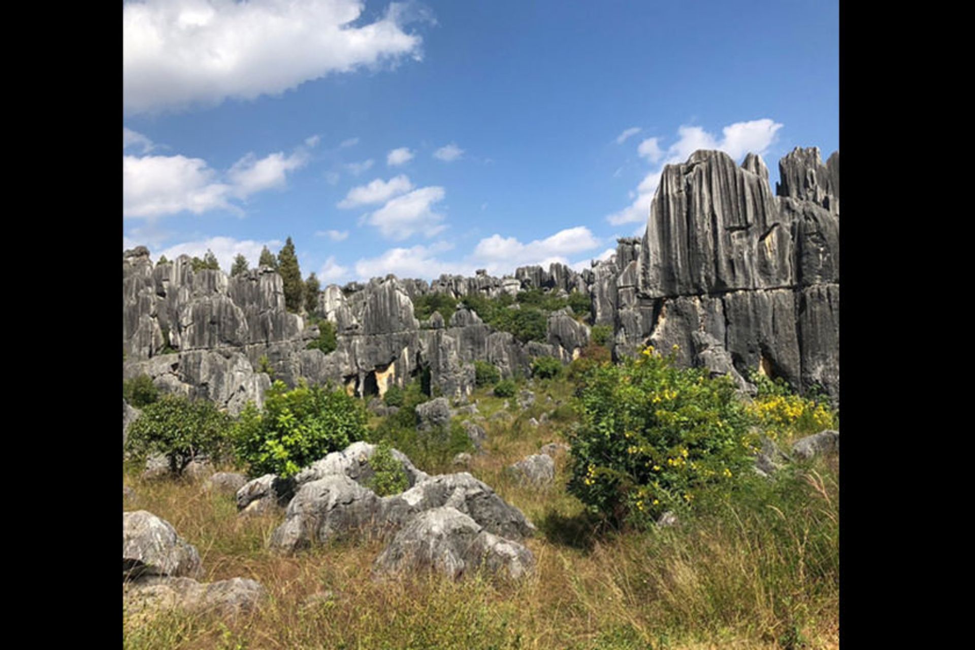 Yunnan Stone Forest