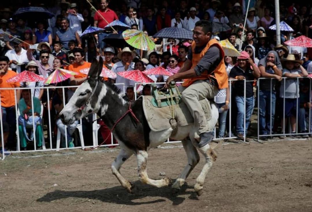 فستیوال جیپور
