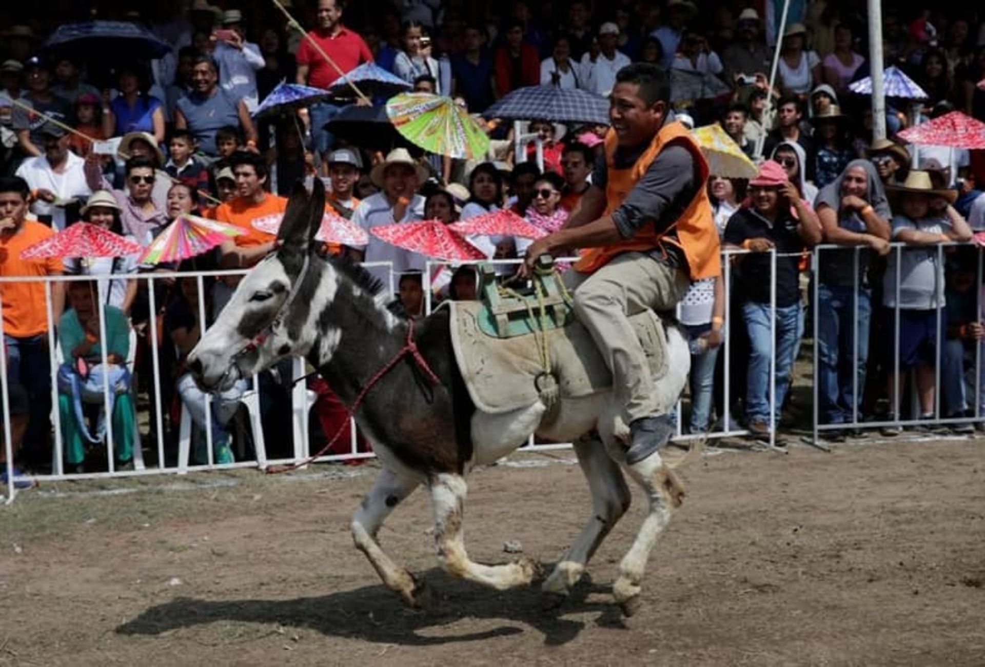 فستیوال جیپور