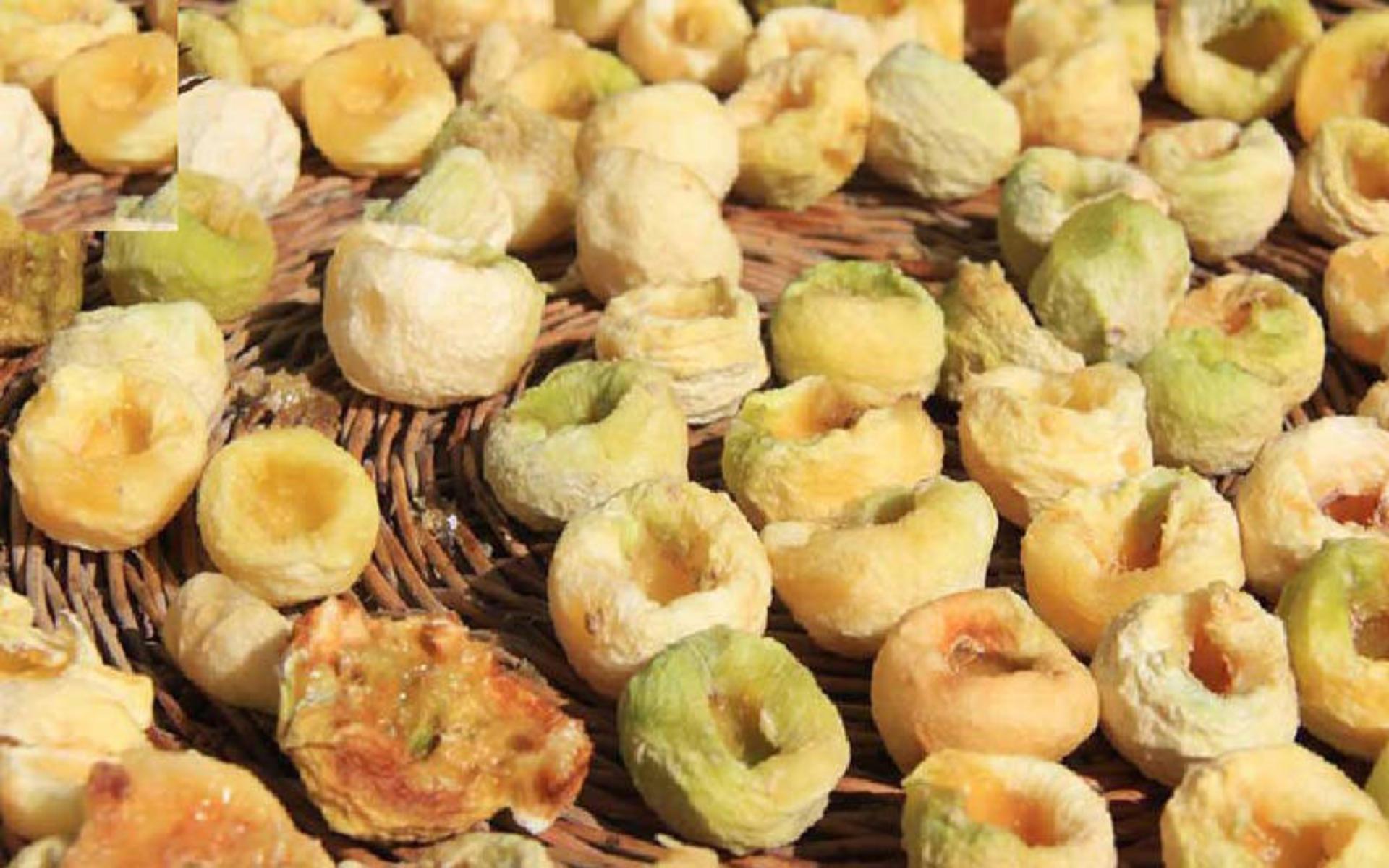 الگ نطنز