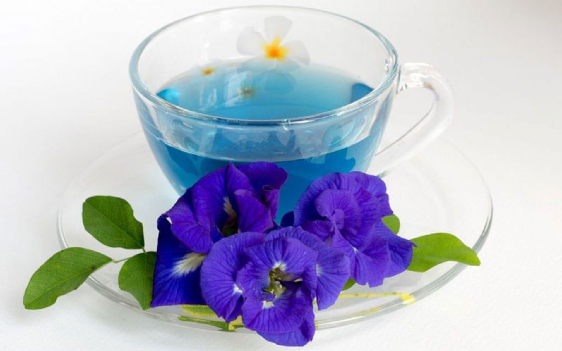 گل گاوزبان یاسوج
