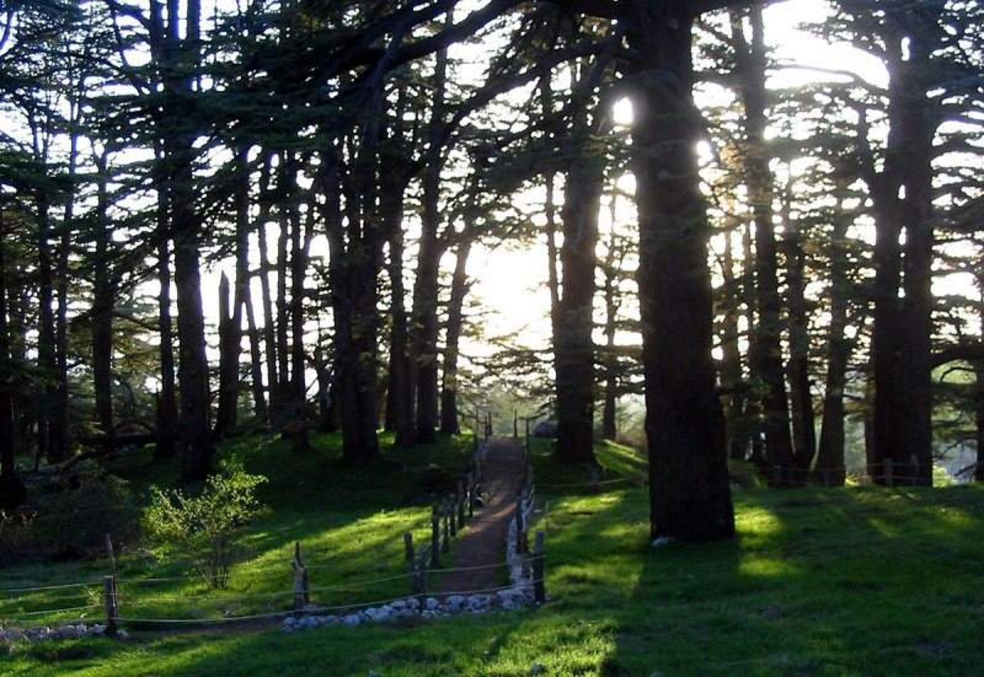 لبنان