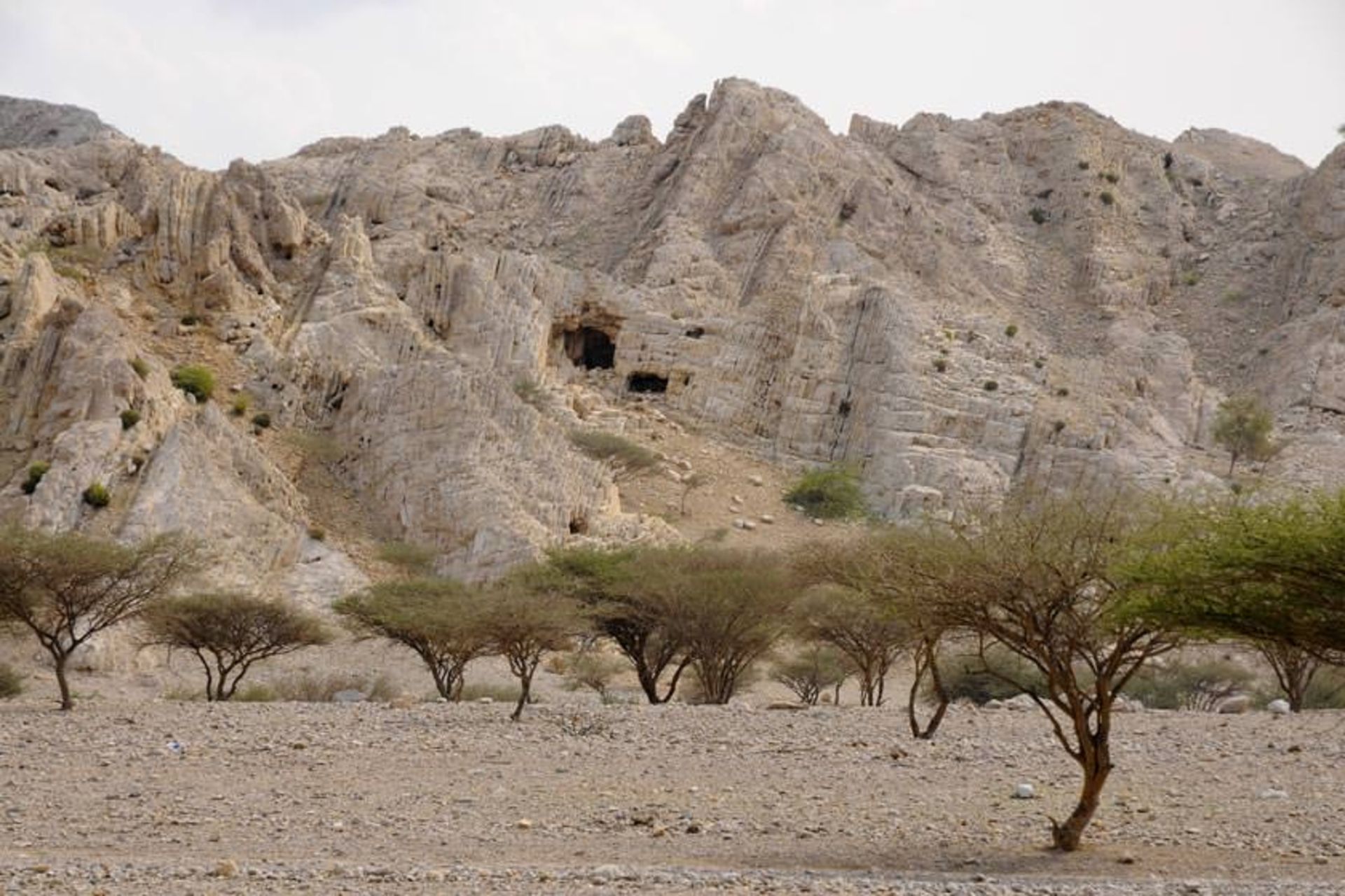 محوطه باستانی شمل