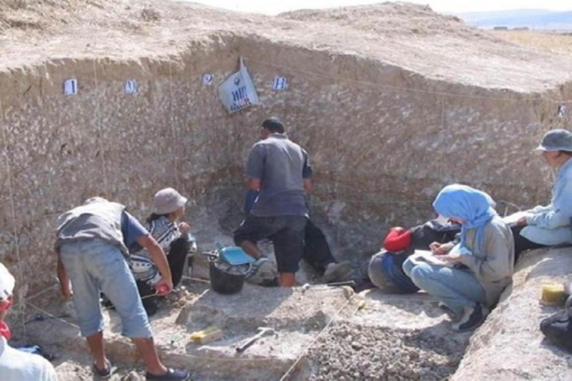کشف تاریخی جدید