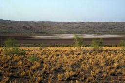 نمکزار چاه کنجه