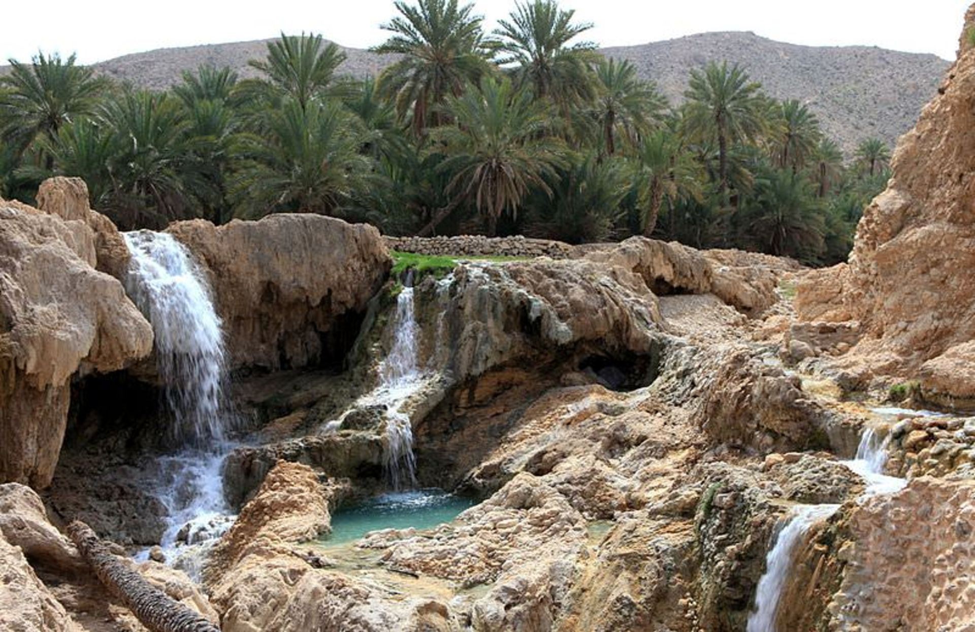 گنو