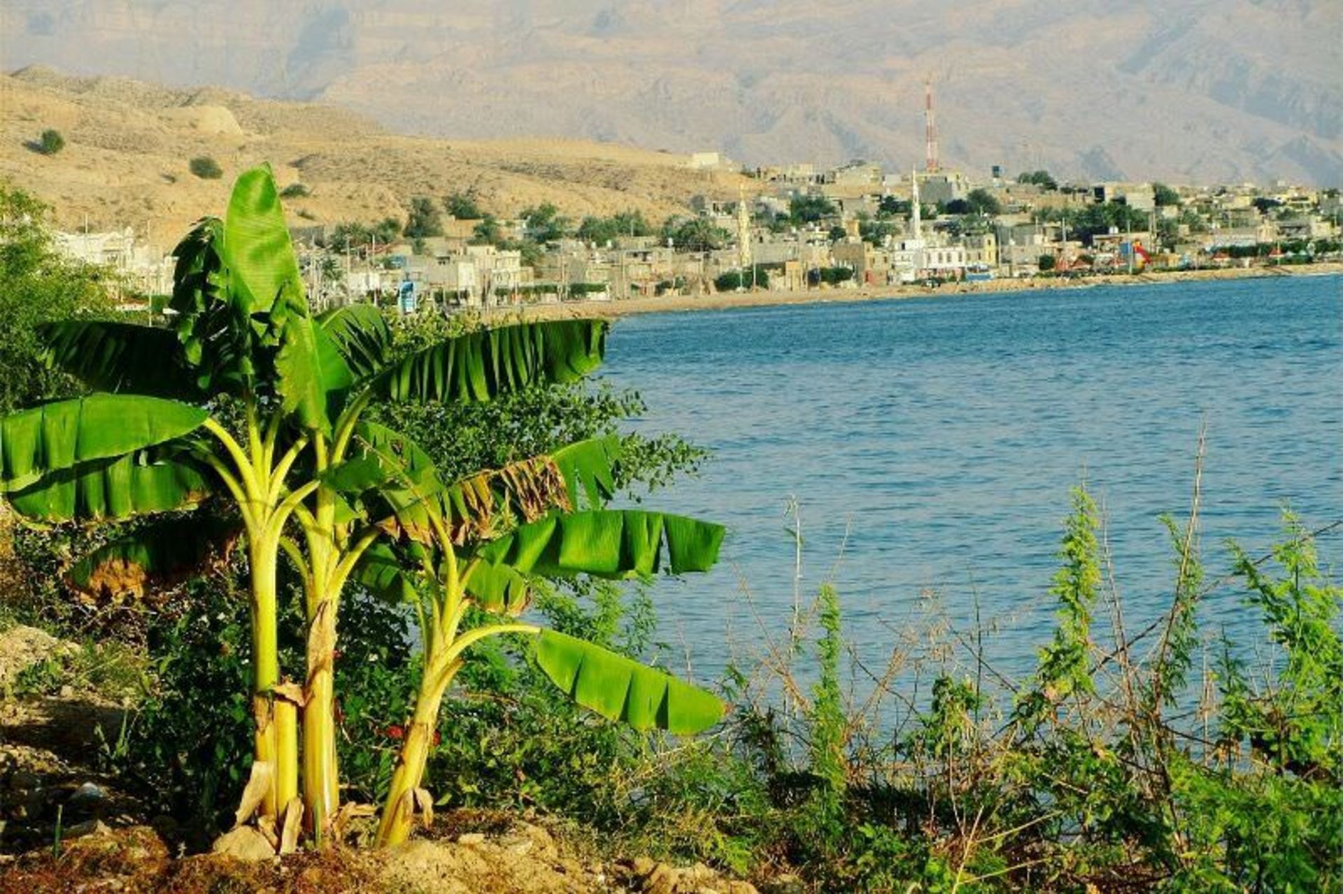 سیراف